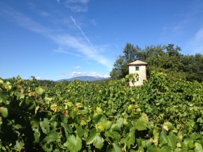 Ventoux et Pigeonnier