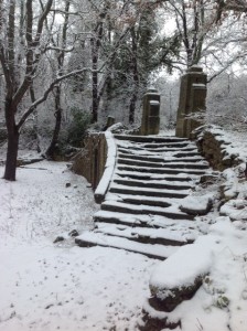 steps lower basin